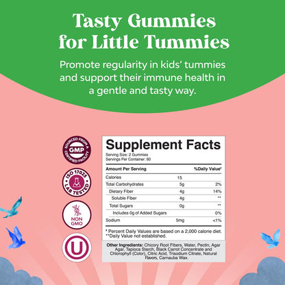 Natures Craft High Prebiotic Fiber Gummies for Kids - Dietary Fiber Supplements for Digestion & Constipation - Chicory Root Kids Immune Gummies - Non-GMO - PrimeBioHealth - canada supplements