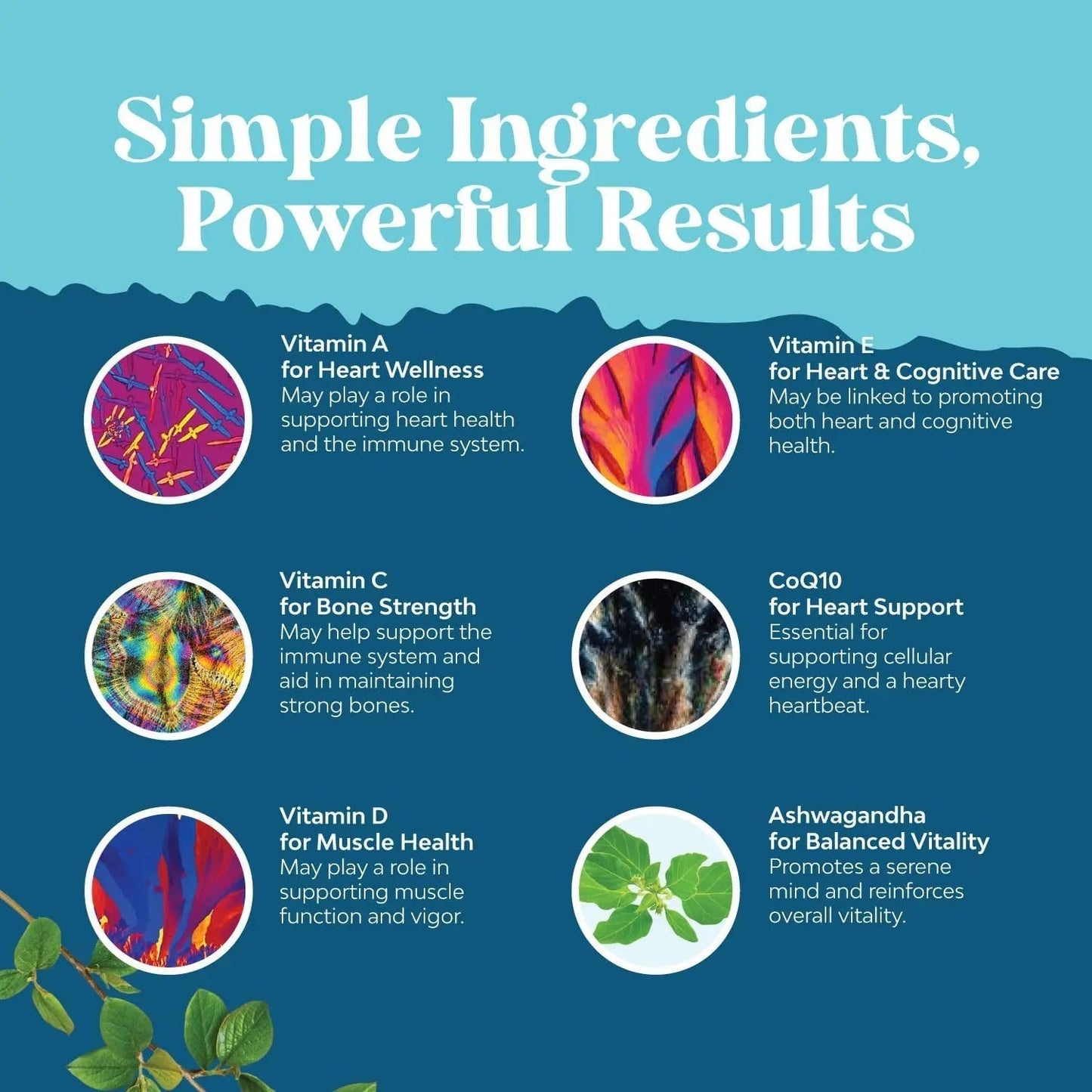 Natures Craft Men's Multivitamin Gummies with Superfood Complex - Daily Multivitamin for Men Gummies with CoQ10 and Ashwagandha - PrimeBioHealth - canada supplements