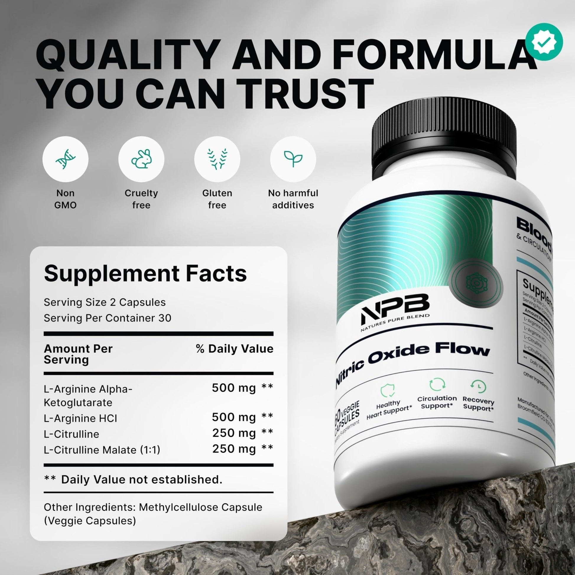 Nature's Pure Blend Nitric Oxide Supplements for Men – L-Arginine L-Citrulline – Heart Support & Flow Circulation Booster – 1500MG L Arginine and L Citrulline, Preworkout, Bodybuilding - PrimeBioHealth - canada supplements
