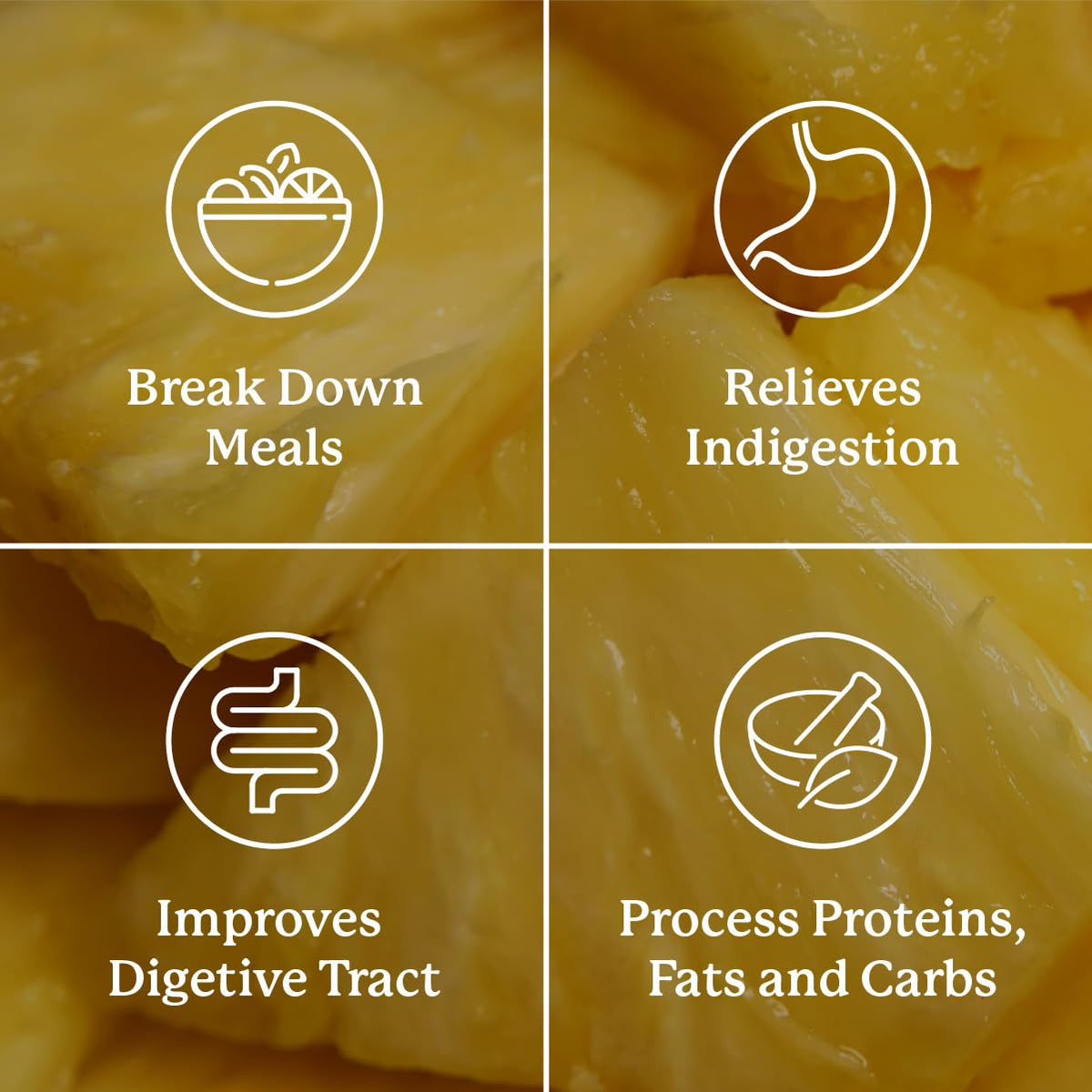 Nature's Sunshine Food Enzymes - Digestive Support with Prebiotics and Probiotics for Gut Health - Digestive Enzyme Supplement for Digestive Health - PrimeBioHealth - canada supplements