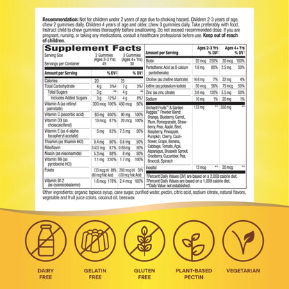 Nature's Way Alive! Children's Premium Gummy Multivitamin, Gluten Free, Made with Pectin, 90 Gummies - PrimeBioHealth - canada supplements