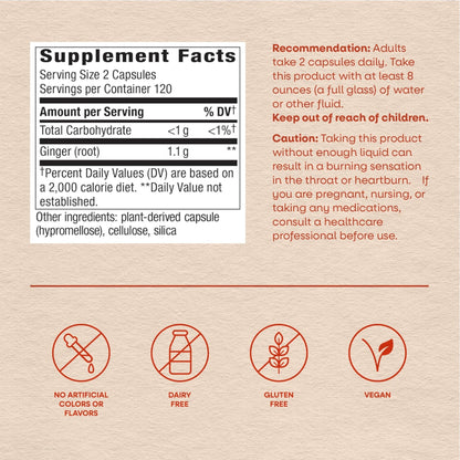 Nature’s Way Ginger Root Capsules, 1100 mg per 2-Capsule Serving Ginger Supplement for Digestive Comfort and Motion-Related Nausea Support - PrimeBioHealth - canada supplements