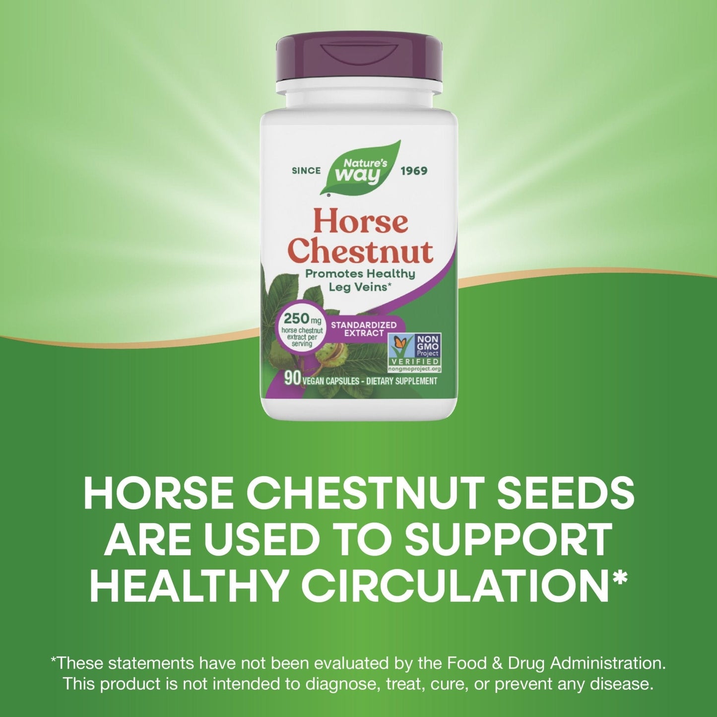 Nature's Way Horse Chestnut Extract, Premium Extract, Promotes Healthy Leg Veins*, 250 mg per Serving, Vegan - PrimeBioHealth - canada supplements