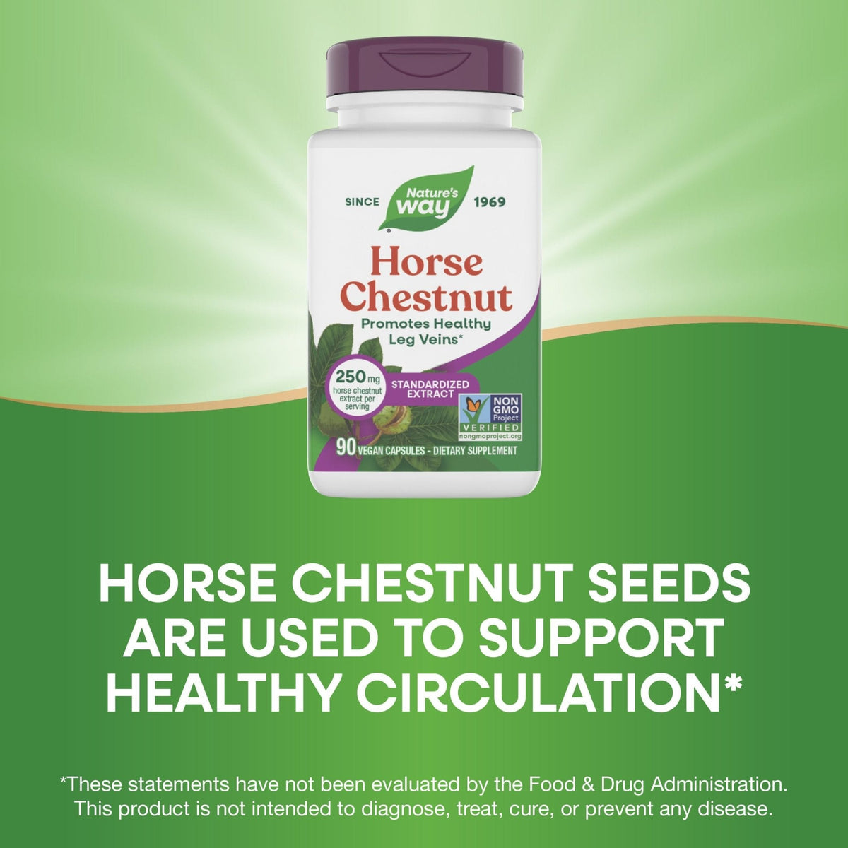 Nature's Way Horse Chestnut Extract, Premium Extract, Promotes Healthy Leg Veins*, 250 mg per Serving, Vegan - PrimeBioHealth - canada supplements