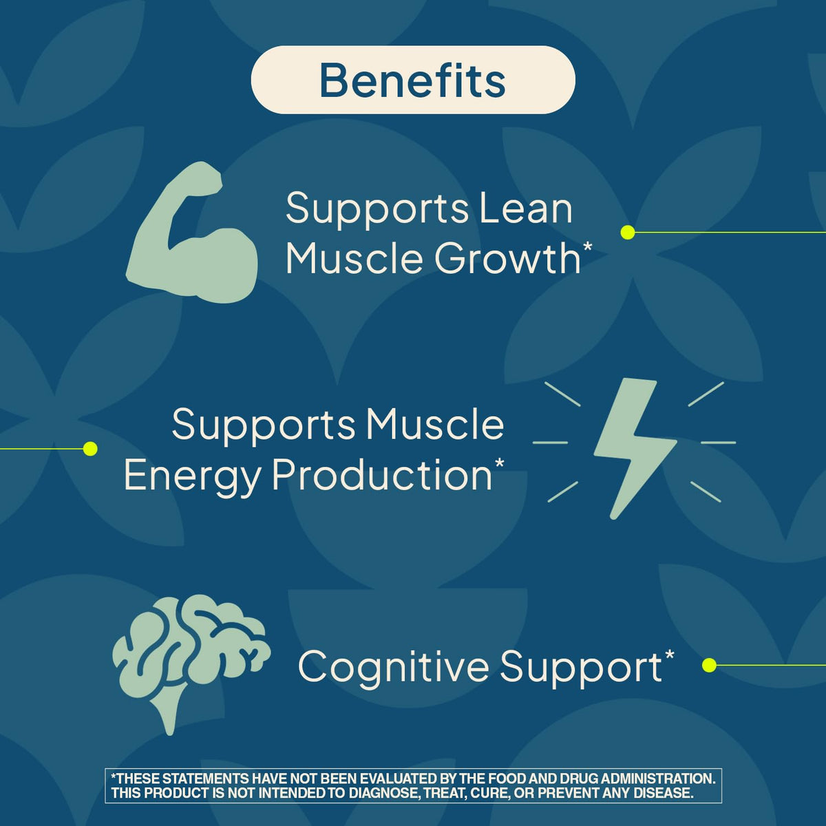 Nature's Wonder Micronized Creatine Monohydrate Powder 5g, Muscle Health, Muscle Energy Production, No Lactose, 5g of Micronized creatine Powder per Serving, 450G, 90 Servings - PrimeBioHealth - canada supplements