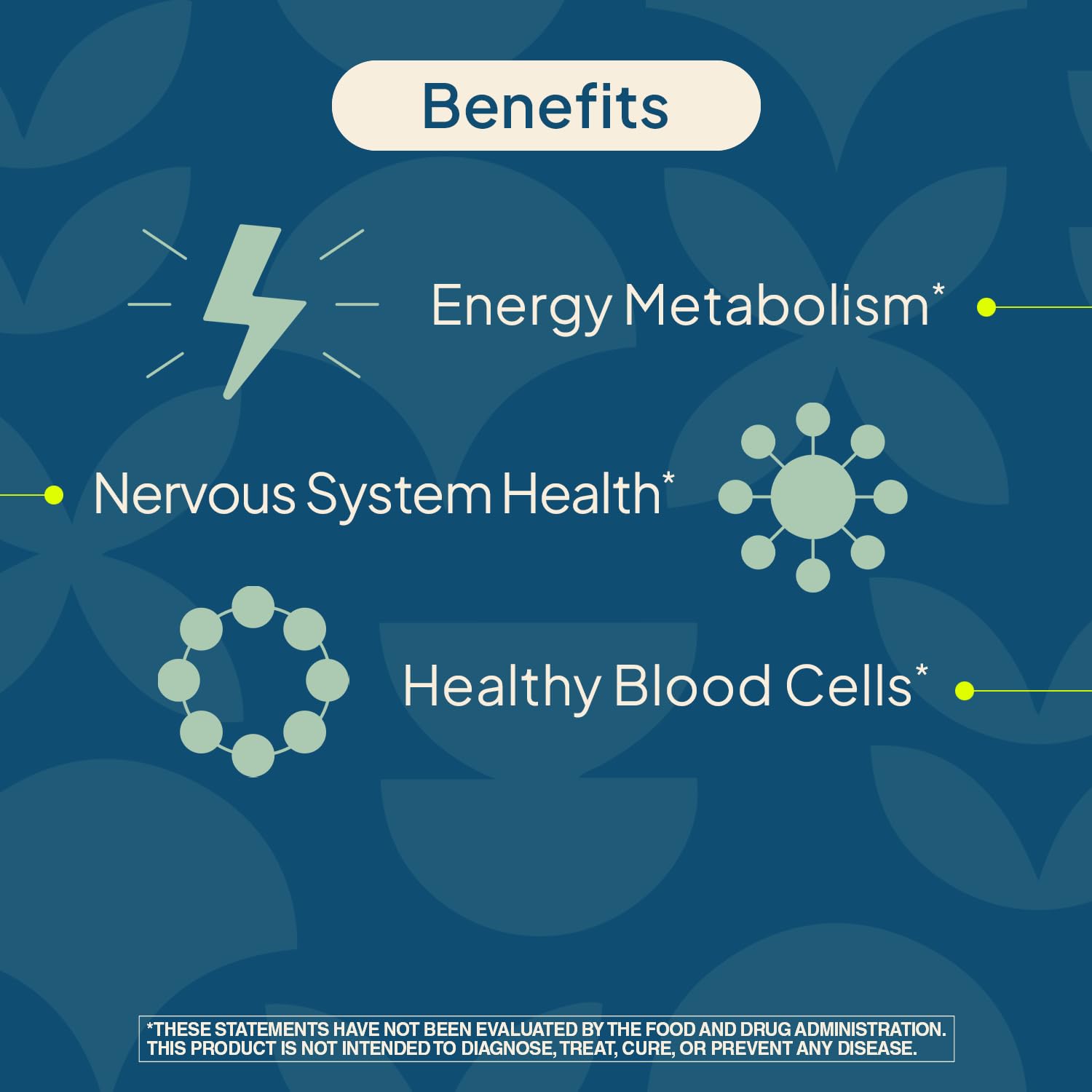 Nature's Wonder Vitamin B12 1000 mcg Timed Release Tablets for Energy Metabolism, Supports Brain Health and Nervous System Health - PrimeBioHealth - canada supplements