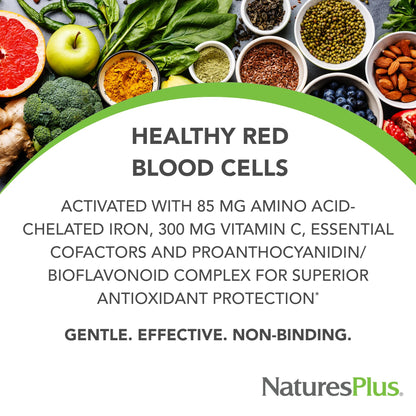 NaturesPlus Hema-Plex Iron - 60 Fast-Acting Softgels - 85 mg Iron + Vitamin C & Bioflavonoids for Healthy Red Blood Cells - PrimeBioHealth - canada supplements