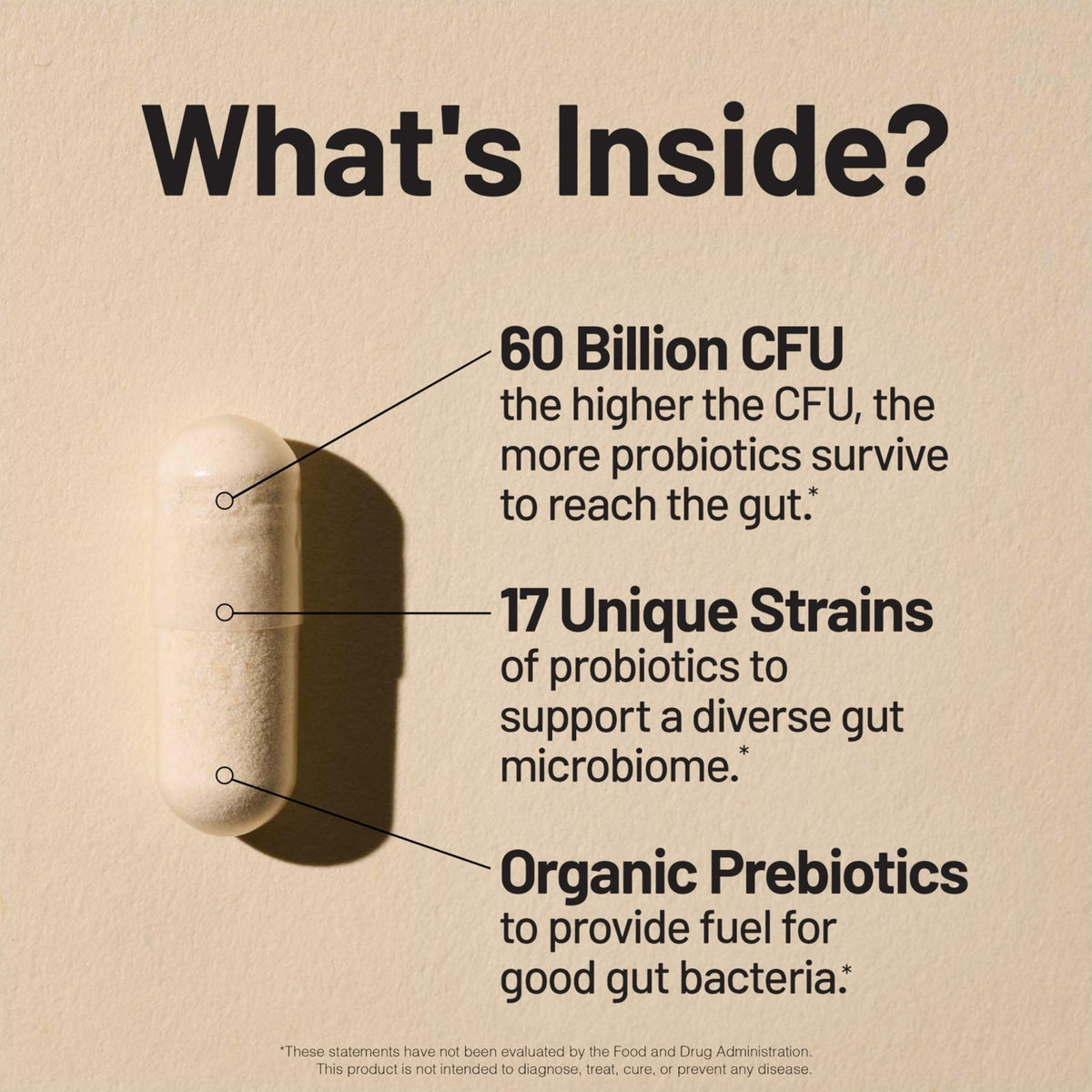 NatureWise Probiotics 60 Billion CFU - 17 Strains + Organic Prebiotics - Immune, Digestive & Gut Health Support for Women & Men - Vegetarian, Gluten-Free, - PrimeBioHealth - canada supplements