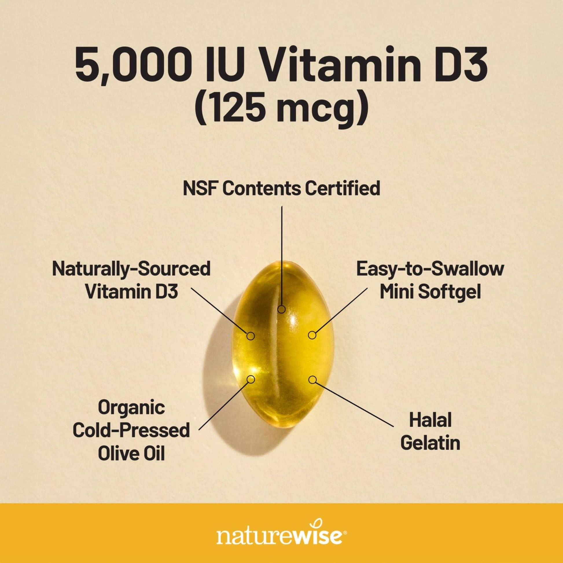 NatureWise Vitamin D3 5000iu (125 mcg) 1 Year Supply for Immune Support, Healthy Muscle Function, and Bone Health - Non-GMO - PrimeBioHealth - canada supplements