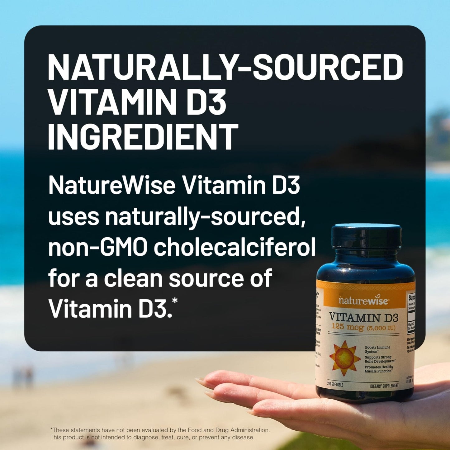 NatureWise Vitamin D3 5000iu (125 mcg) 1 Year Supply for Immune Support, Healthy Muscle Function, and Bone Health - Non-GMO - PrimeBioHealth - canada supplements