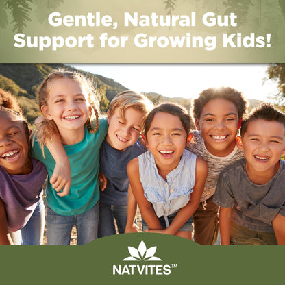Natvites Prebiotic Kids Fiber Gummies, for Children Ages 2 & Up - Sugar Free Vegetarian Gelatin Free Non-GMO, Kids Fiber Supplements - PrimeBioHealth - canada supplements