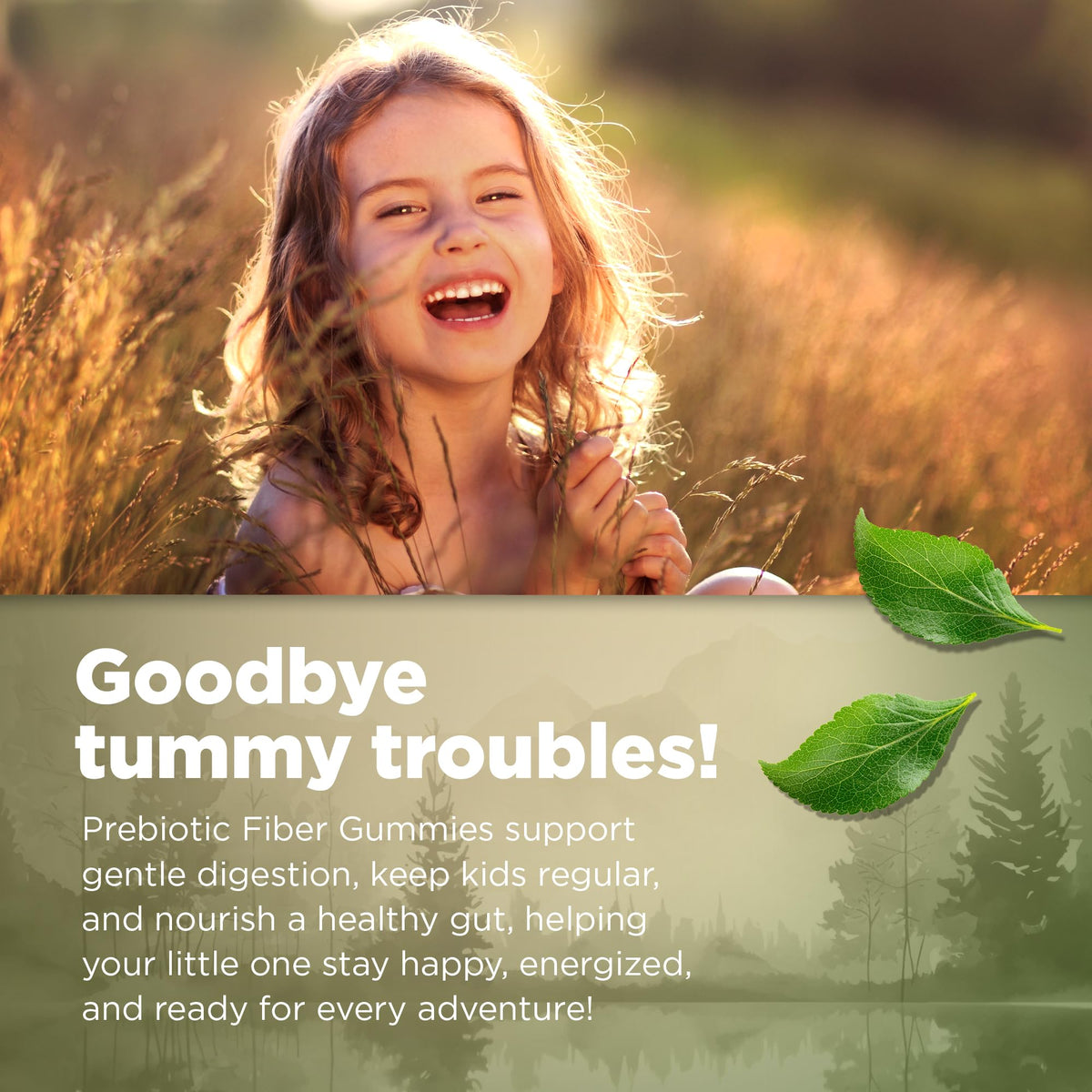 Natvites Prebiotic Kids Fiber Gummies, for Children Ages 2 & Up - Sugar Free Vegetarian Gelatin Free Non-GMO, Kids Fiber Supplements - PrimeBioHealth - canada supplements