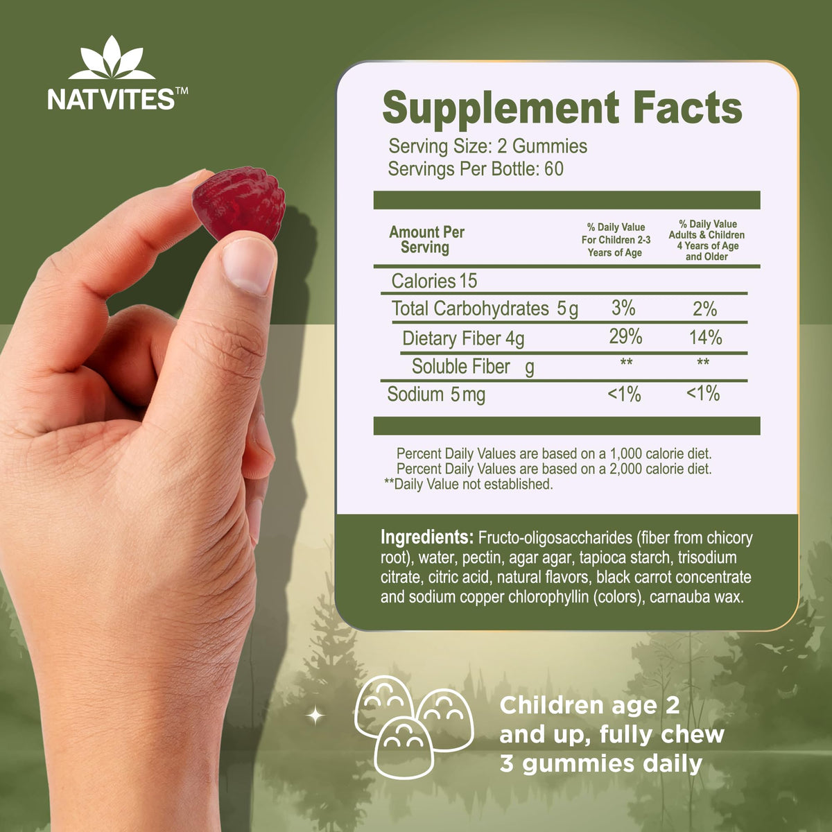 Natvites Prebiotic Kids Fiber Gummies, for Children Ages 2 & Up - Sugar Free Vegetarian Gelatin Free Non-GMO, Kids Fiber Supplements - PrimeBioHealth - canada supplements