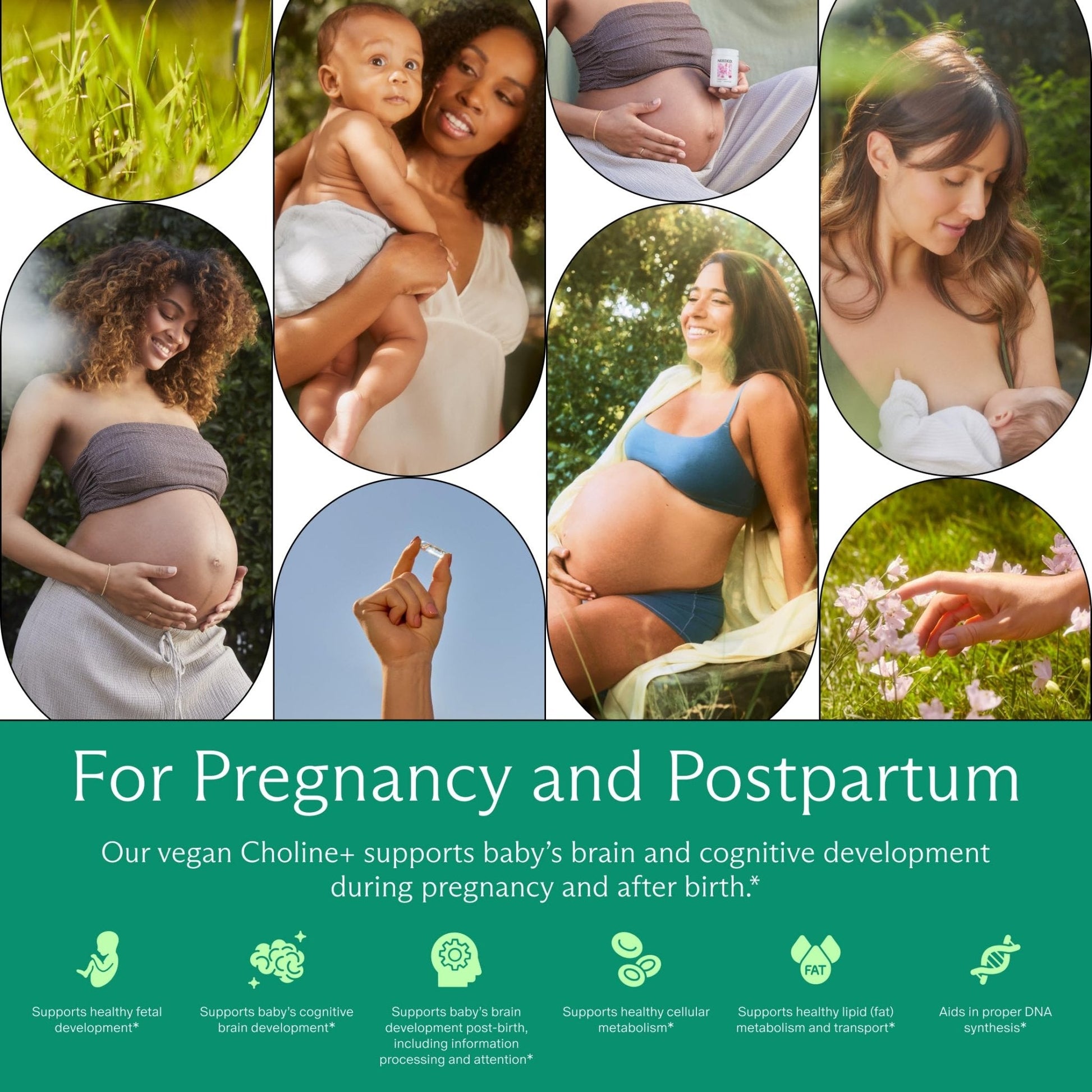 Needed. Prenatal Choline+ Liquid Capsules for Cognitive Development - Choline Supplements For Pregnancy - Aids Baby Brain Development & Supports Healthy Pregnancy - PrimeBioHealth - canada supplements