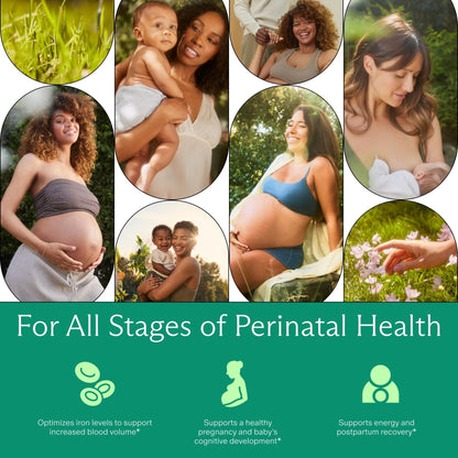 Needed. Prenatal Iron Supplement - Pregnancy, Breastfeeding, Postpartum - Aids Energy, Birth Weight & Baby's Neural Development - PrimeBioHealth - canada supplements