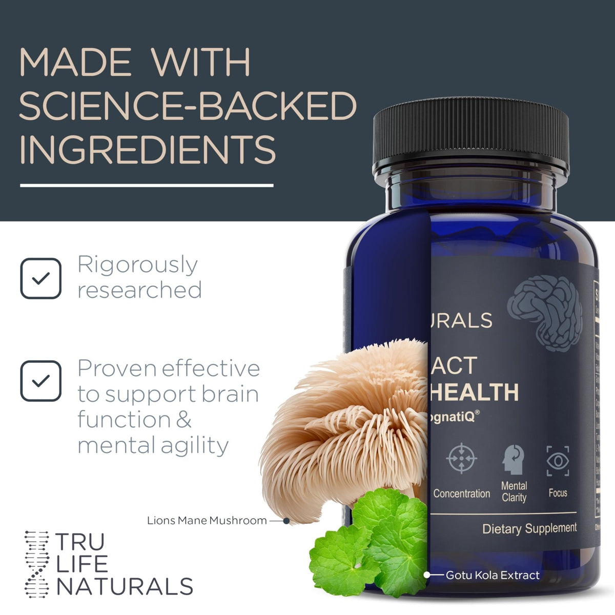 NEUROACT Brain Health Memory, Focus, Concentration, Mental Clarity with CognatiQ, Vitamin B3 & B6 | Manage Stress & Elevate Mood | Holistic Brain Health Formula, Sustained Energy & Well Being - PrimeBioHealth - canada supplements