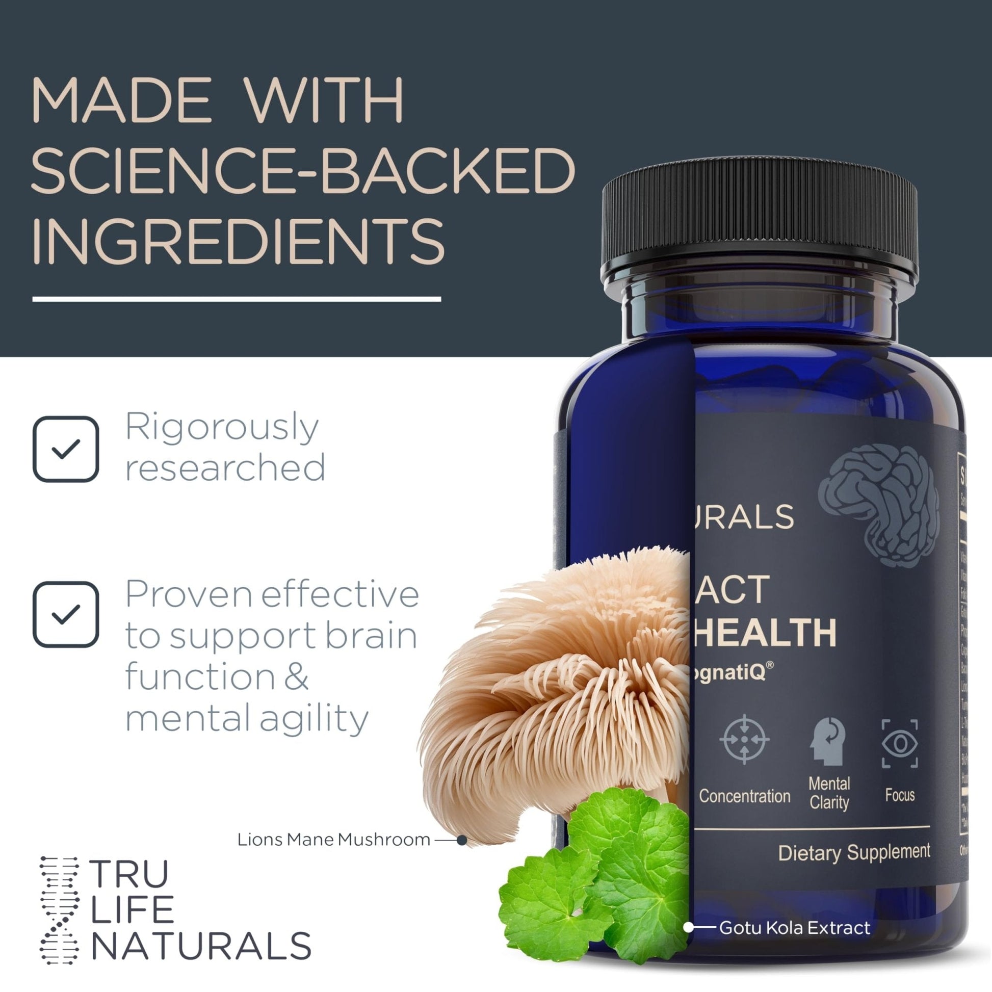NEUROACT Brain Health Memory, Focus, Concentration, Mental Clarity with CognatiQ, Vitamin B3 & B6 | Manage Stress & Elevate Mood | Holistic Brain Health Formula, Sustained Energy & Well Being - PrimeBioHealth - canada supplements