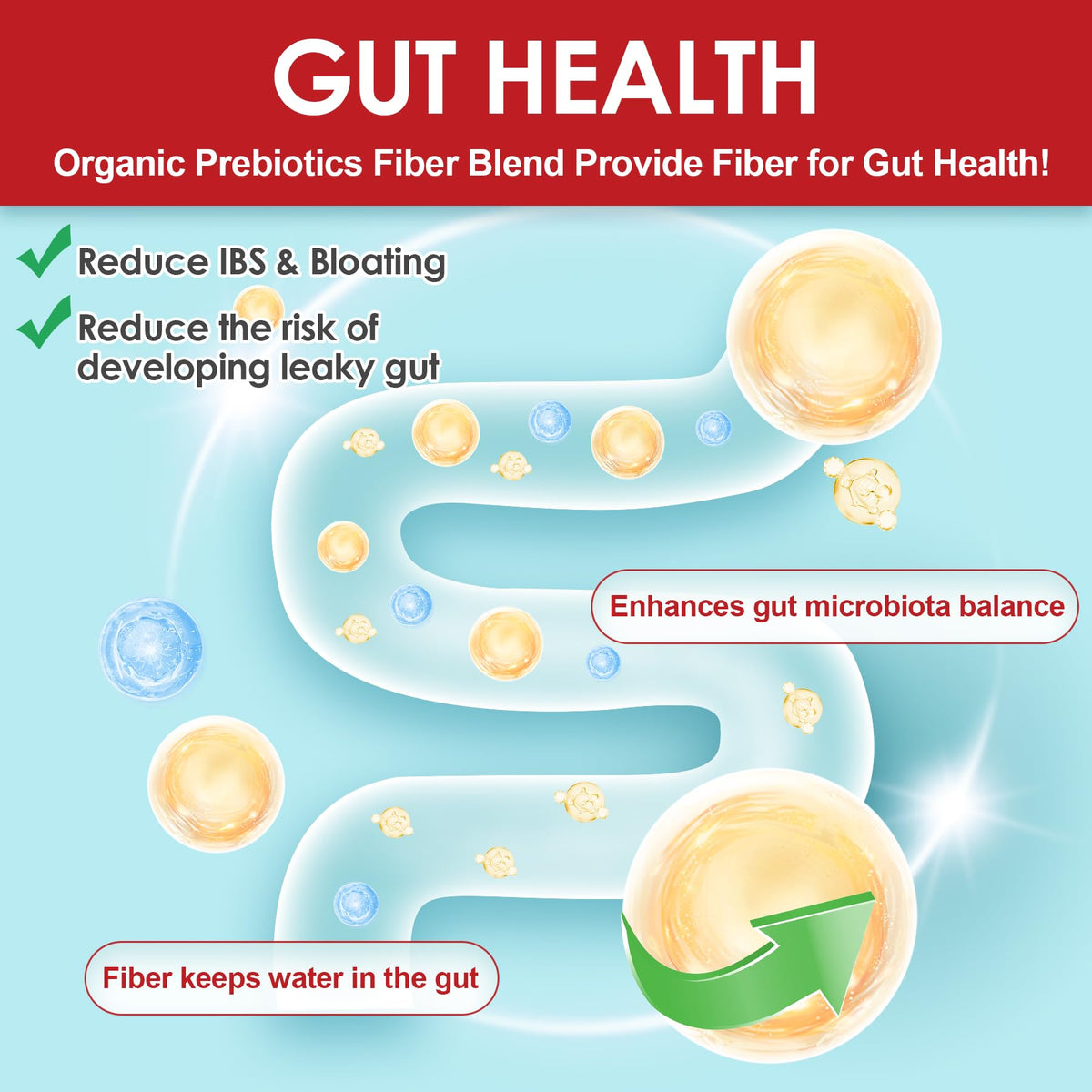 NEVISS Probiotic + Prebiotic Gummies for Adults & Kids 4+, Sugar Free Chewable 50 Billion CFUs w/Fiber, Vitamin B1 B2 D3 & Zinc, for Digestive & Gut Health - PrimeBioHealth - canada supplements