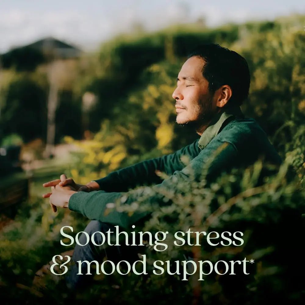 New Chapter Perfect Calm - Daily Multivitamin for Stress & Mood Support with B Vitamins + Holy Basil + Lemon Balm - PrimeBioHealth - canada supplements