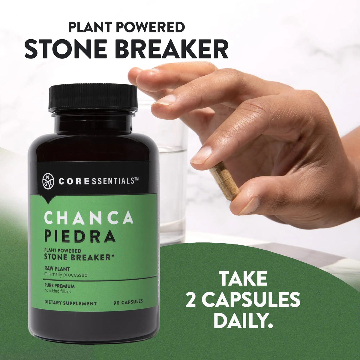 NGL Chanca Piedra Pure Stone Breaker 1,300mg - Kidney, Renal, Gallbladder Support Phyllanthus niruri - All Natural Herbal Detox Urinary Tract, Removes Impurities - 90 Capsules - PrimeBioHealth - canada supplements