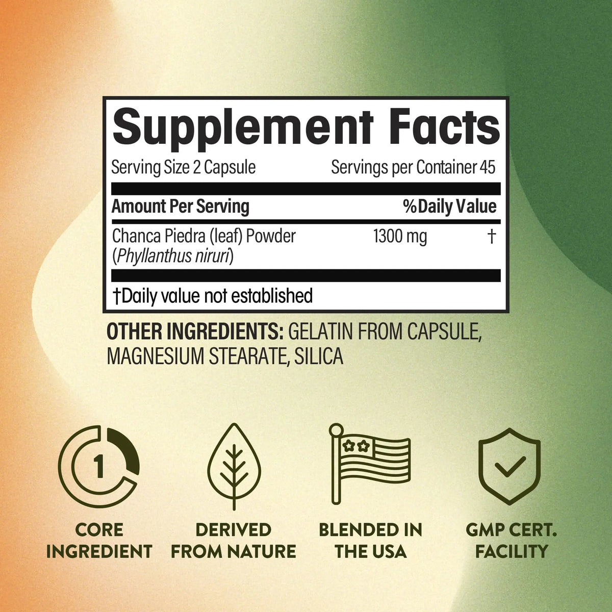 NGL Chanca Piedra Pure Stone Breaker 1,300mg - Kidney, Renal, Gallbladder Support Phyllanthus niruri - All Natural Herbal Detox Urinary Tract, Removes Impurities - 90 Capsules - PrimeBioHealth - canada supplements