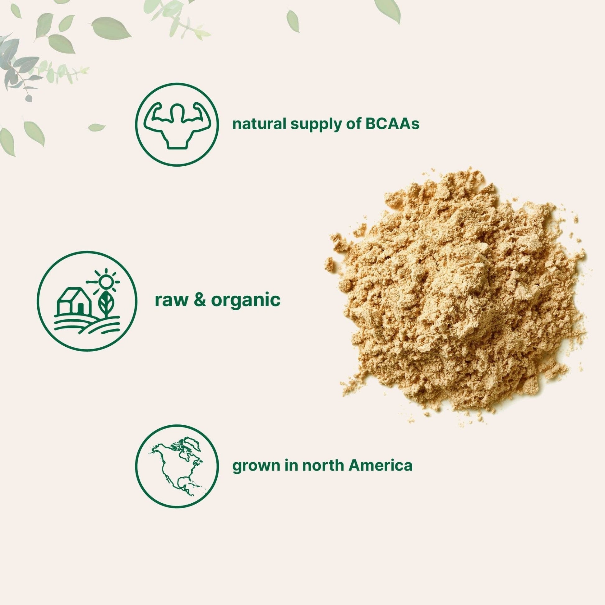 North America Grown, Organic Pea Protein Powder, 1KG (2.2 Pounds) | Plant-Based Vegan Protein, Meatless Protein Supplement, Natural Branched Chain Amino Acids | Non-GMO, Soy Free - PrimeBioHealth - canada supplements