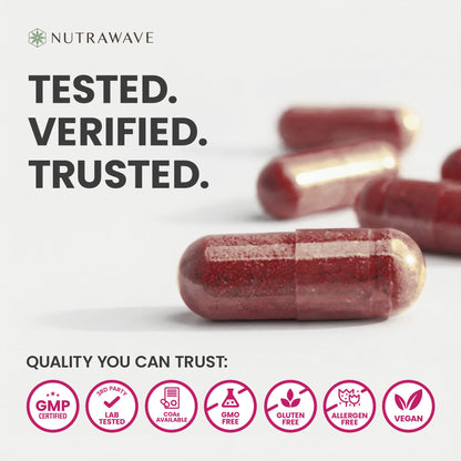 Nutra Wave 1400mg Organic Beet Root Capsules Per Serving – Nitric Oxide Booster for Men – Supports Blood Pressure, Energy, Circulation & Heart Health – Non-GMO, Vegan – 120 Capsules / 60 Day Supply - PrimeBioHealth - canada supplements