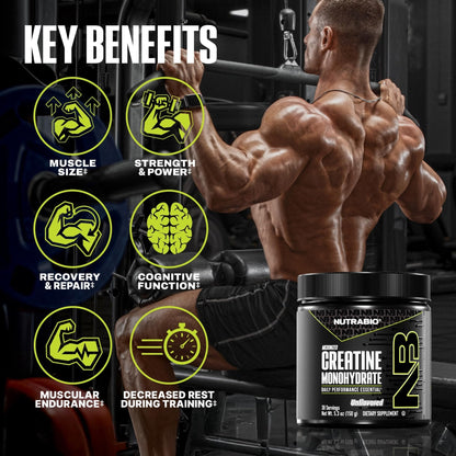NutraBio Pure Micronized Creatine Monohydrate Powder Supplement, Unflavored, (150 g) - Supports Bulk Muscle Energy, Recovery, and Strength - HPLC Tested Creatine Powder Supplement for Men and Women - PrimeBioHealth - canada supplements