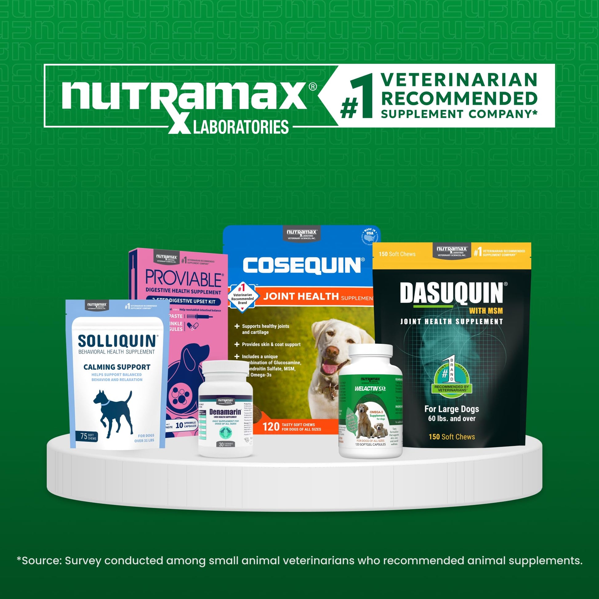 Nutramax Cobalequin B12 for Dogs, Oral Cobalamin Supplement with Folate, Vitamin B12 for Dogs Over 22 lbs., Supports GI Health, Chewable Tablets, 45 Count - PrimeBioHealth - canada supplements