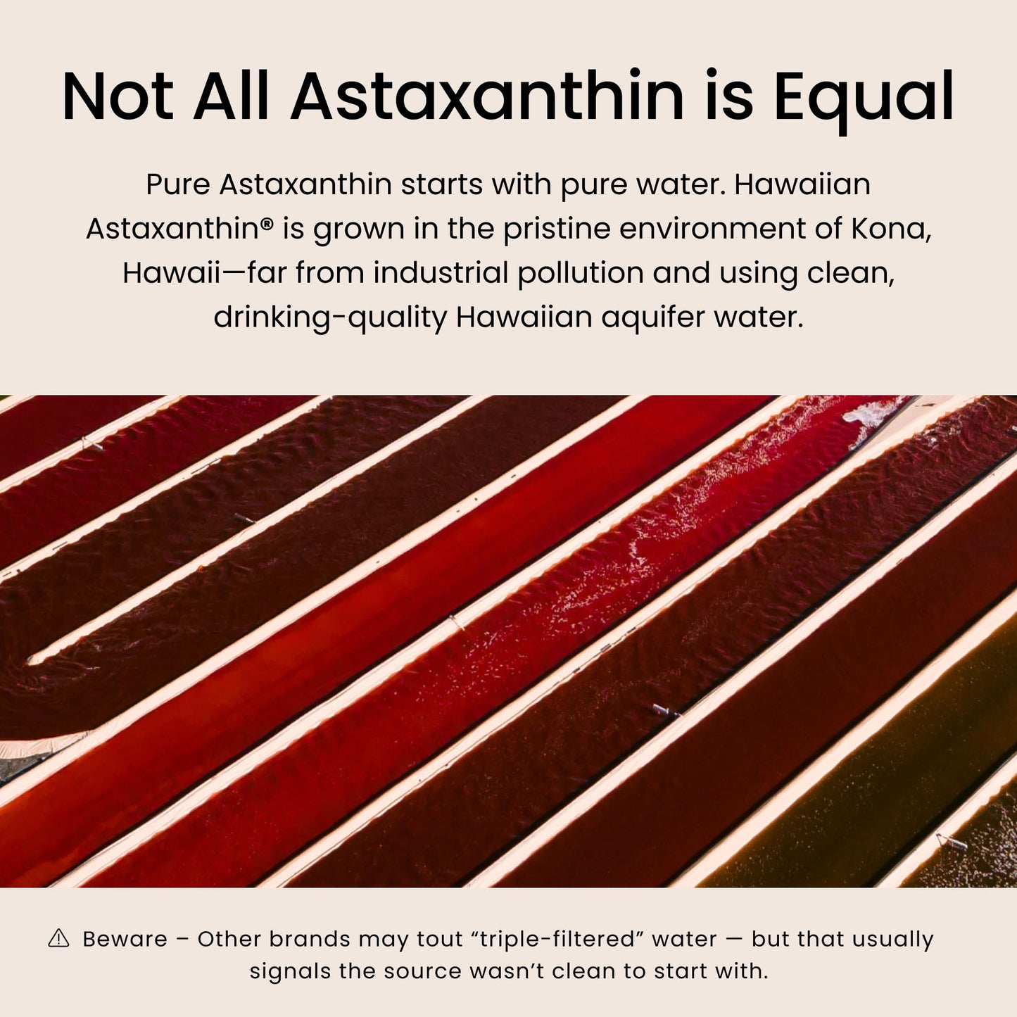 Nutrex Hawaii BioAstin Hawaiian Astaxanthin - 12mg, 90 Softgels - Farm-Direct Premium Antioxidant Supplement to Support Eye, Skin - PrimeBioHealth - canada supplements