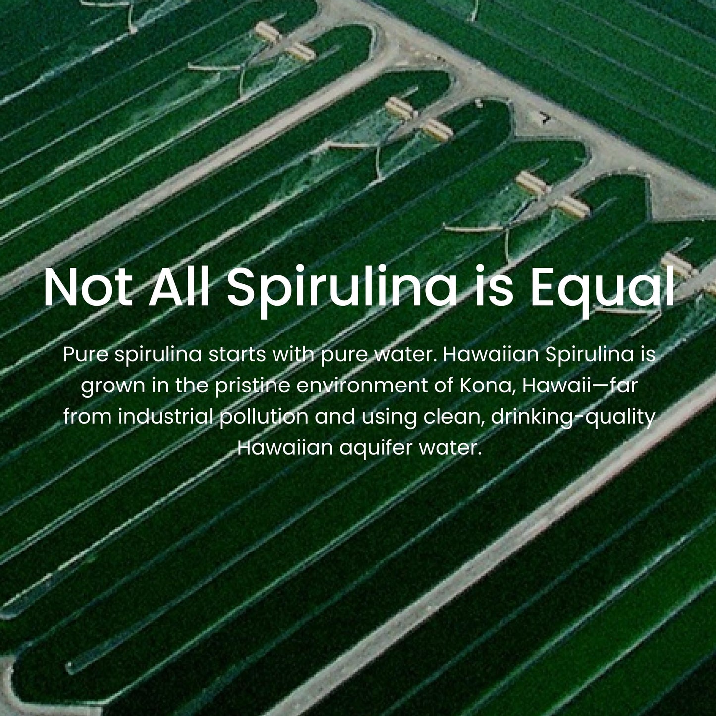 Nutrex Hawaii Pure Hawaiian Spirulina – Vegan Superfood, 500 mg Tablets, Farm Grown in Kona, Non-GMO - PrimeBioHealth - canada supplements