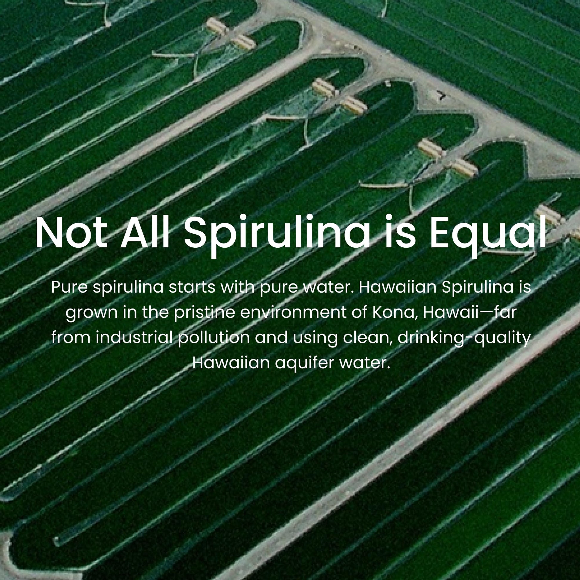 Nutrex Hawaii Pure Hawaiian Spirulina – Vegan Superfood, 500 mg Tablets, Farm Grown in Kona, Non-GMO - PrimeBioHealth - canada supplements