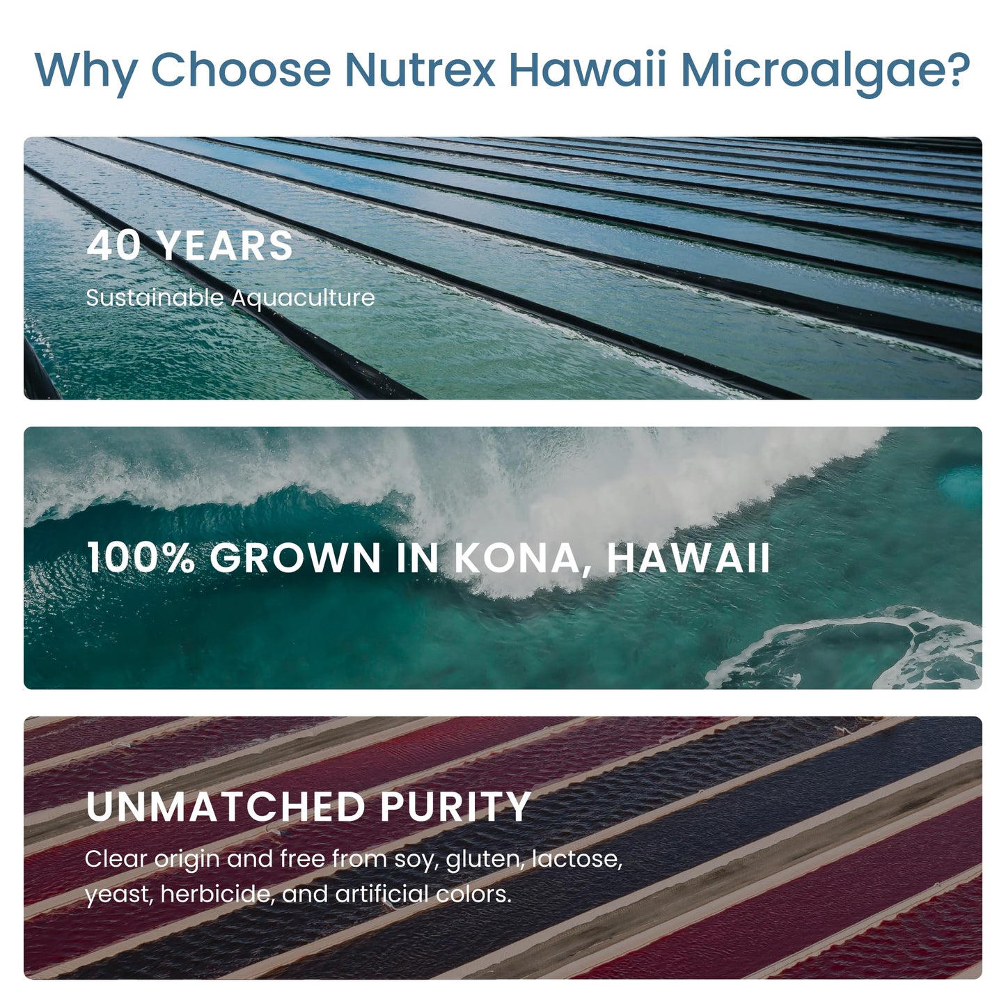 Nutrex Hawaii Pure Hawaiian Spirulina – Vegan Superfood, 500 mg Tablets, Farm Grown in Kona, Non-GMO - PrimeBioHealth - canada supplements