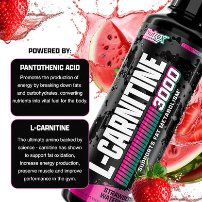 Nutrex Research L Carnitine 3000 - Clinically Dosed L-Carnitine Liquid for Energy, Metabolism & Muscle Recovery - Delicious Strawberry Watermelon - No Sugar, No Carbs - PrimeBioHealth - canada supplements