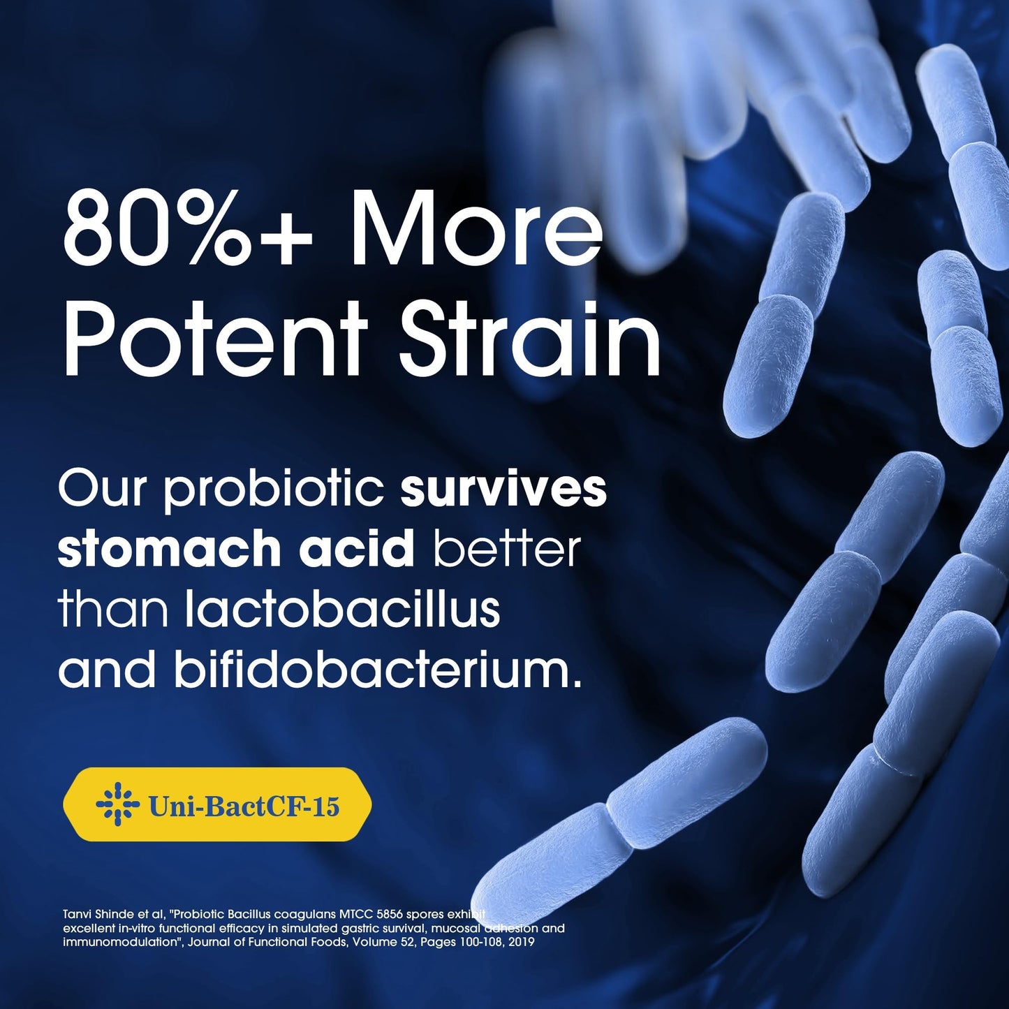 Nutrition Essentials Probiotics for Women and Men - with Lactase Enzyme and Prebiotic Fiber for Digestive Health - 80 Percent + More Potent Supplement - PrimeBioHealth - canada supplements