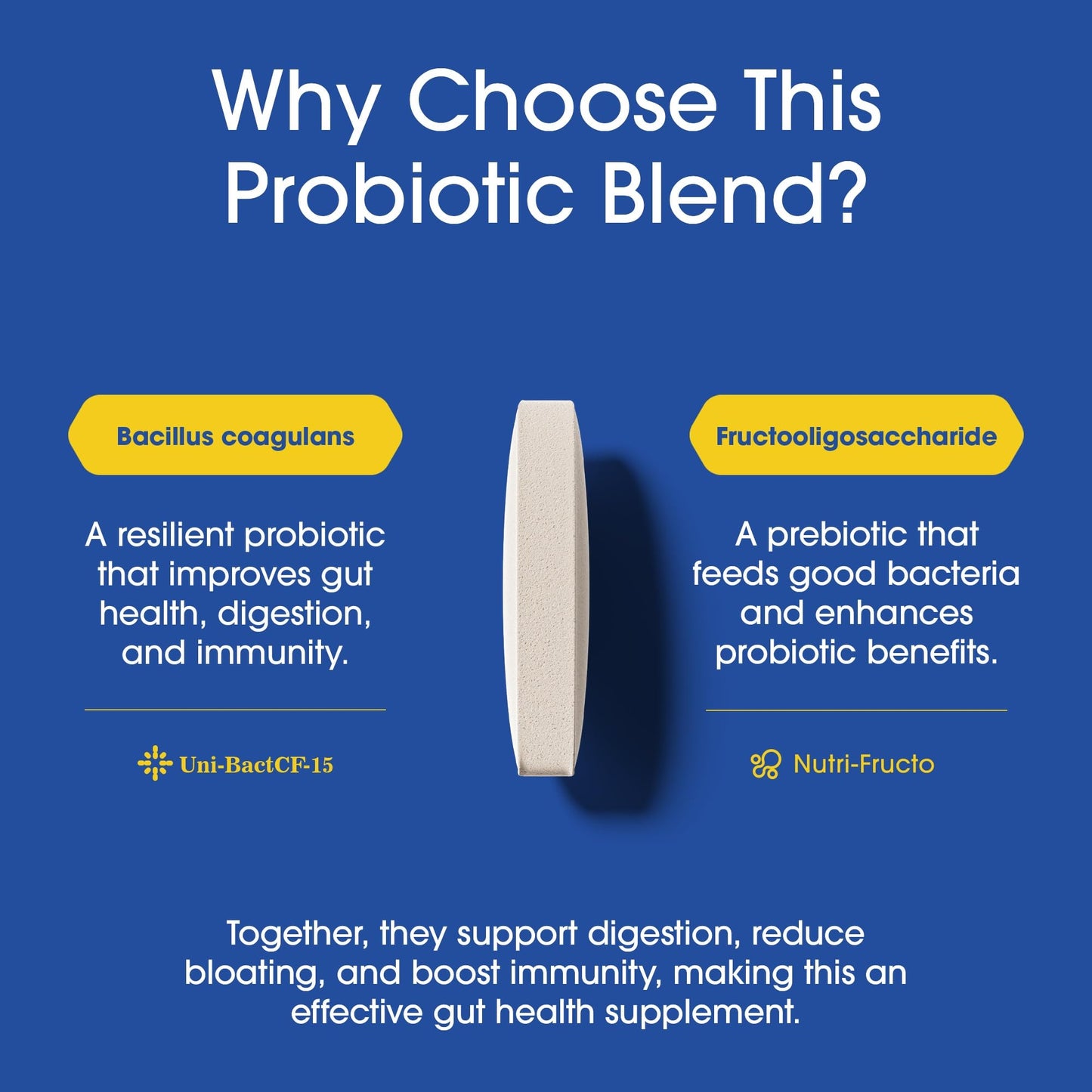 Nutrition Essentials Probiotics for Women and Men - with Lactase Enzyme and Prebiotic Fiber for Digestive Health - 80 Percent + More Potent Supplement - PrimeBioHealth - canada supplements