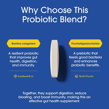 Nutrition Essentials Probiotics for Women and Men - with Lactase Enzyme and Prebiotic Fiber for Digestive Health - 80 Percent + More Potent Supplement - PrimeBioHealth - canada supplements