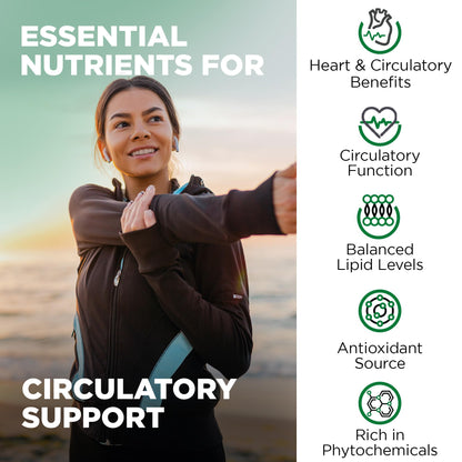 Nutrivein Premium Citrus Bergamot Supplement 1400mg 25:1 Bergamia Extract - 60 Day Supply (120 Capsules): Powerful Italian Citrus Bergamot 1400 mg+ - PrimeBioHealth - canada supplements