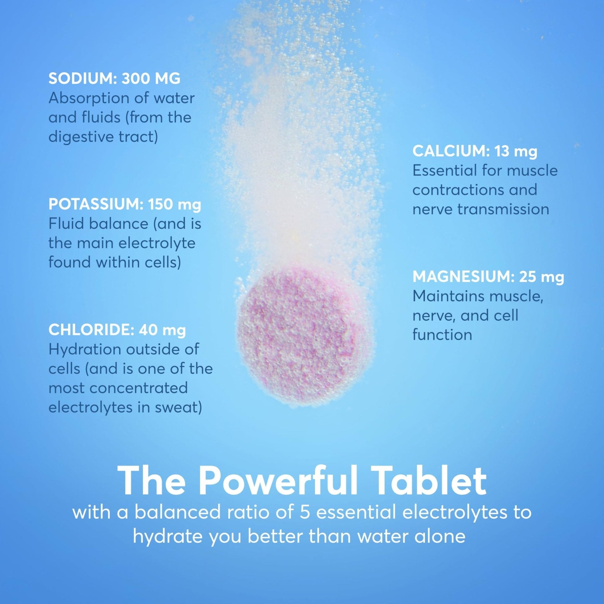 Nuun Sport Electrolyte Tablets with Magnesium, Calcium, Potassium, Chloride & Sodium, Gluten Free & Vegan, Mixed Flavors, 4 Pack (40 Servings Total) - PrimeBioHealth - canada supplements