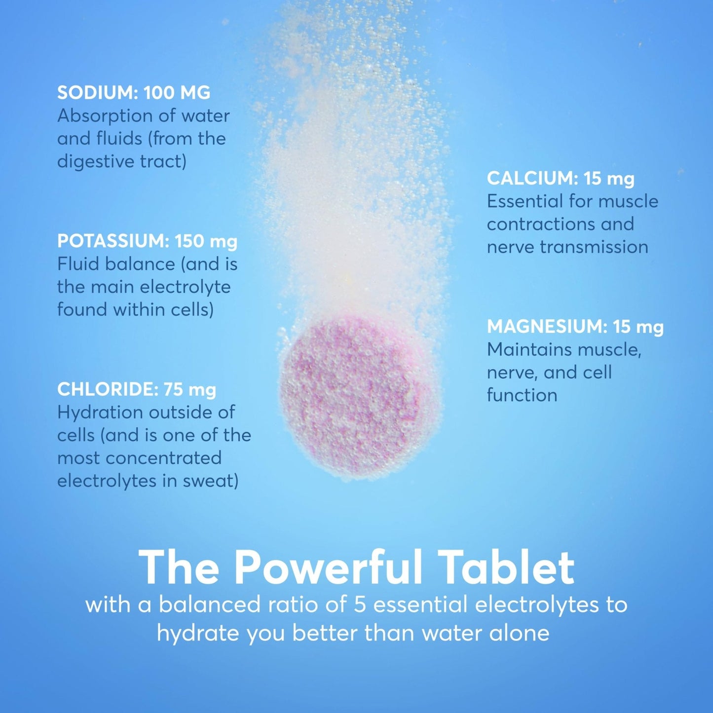 Nuun Vitamins Electrolyte Tablets with Vitamin D, C, E, A, & B6, Folic Acid, Magnesium & 4 Other Essential Electrolytes, Gluten Free & Vegan - PrimeBioHealth - canada supplements