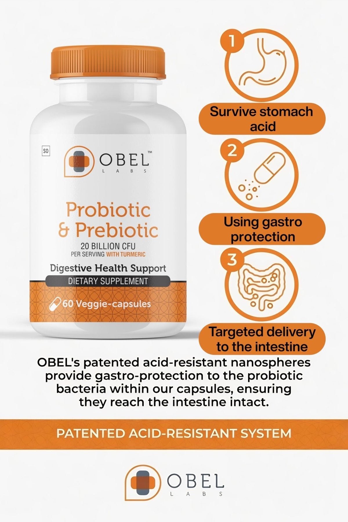 obel Probiotic & Prebiotic Supplement with Turmeric | 20 Billion CFU | 60 Capsules (30 Day Supply) | 4 Strains | Supports Digestion - PrimeBioHealth - canada supplements