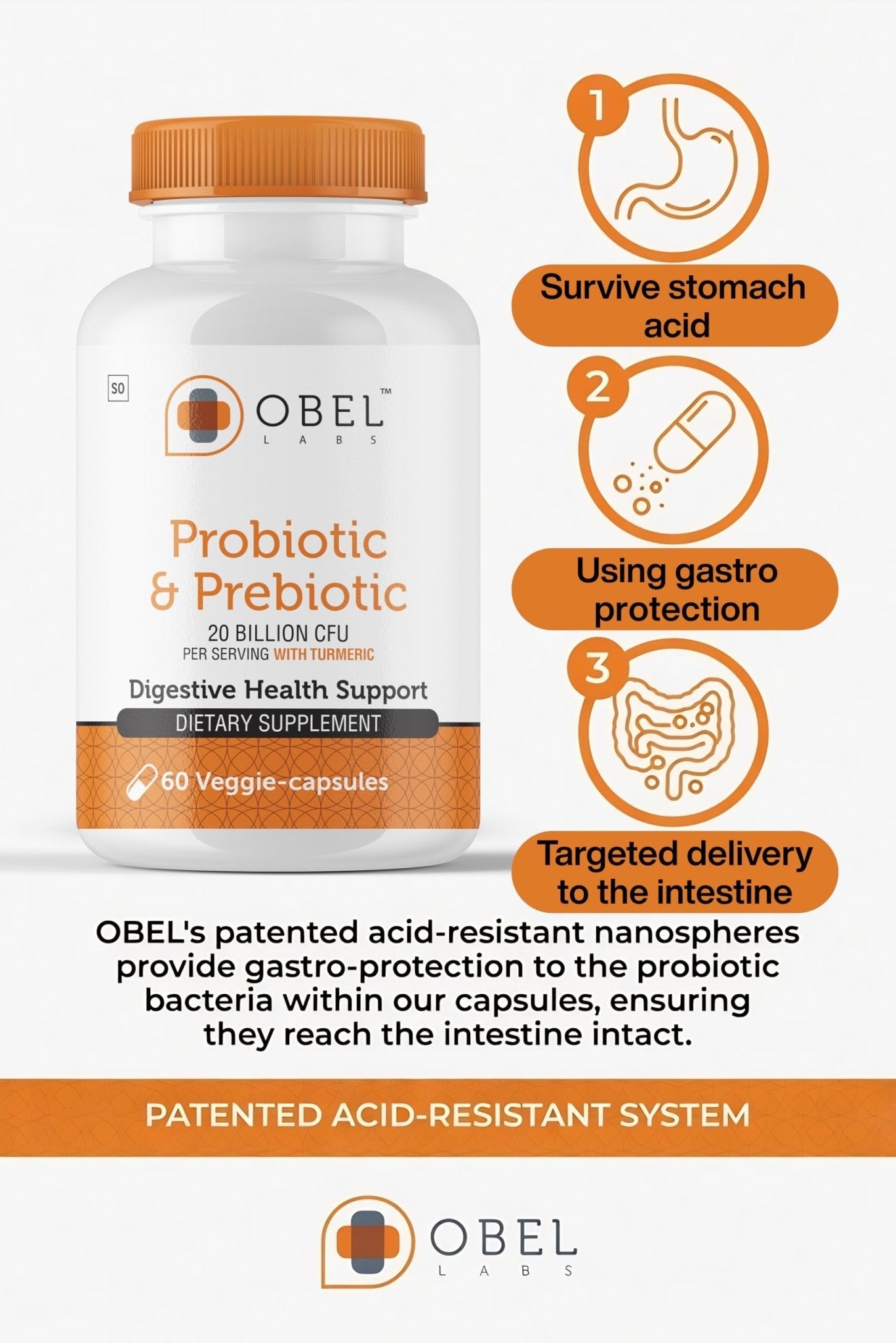 obel Probiotic & Prebiotic Supplement with Turmeric | 20 Billion CFU | 60 Capsules (30 Day Supply) | 4 Strains | Supports Digestion - PrimeBioHealth - canada supplements