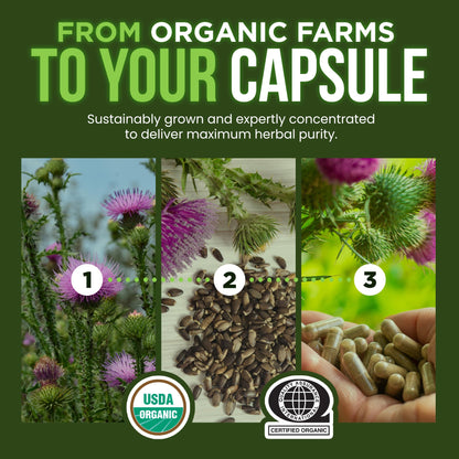 OmniBiotics Organic Milk Thistle Supplement 1500mg – 4X Concentrated Extract with Silymarin – High Potency Liver Detox & Support - PrimeBioHealth - canada supplements