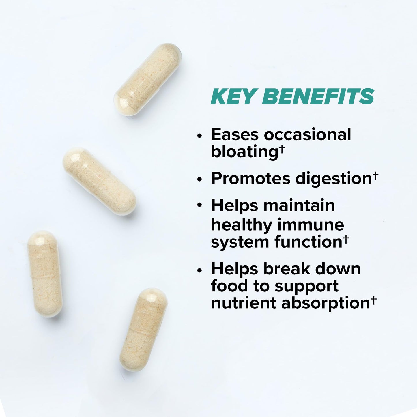 ONNIT Total Gut Health Daily Digestive Support, IGEN™ Non-GMO Tested Digestion Supplement for Women and Men with 7 Strains of Probiotics, - PrimeBioHealth - canada supplements