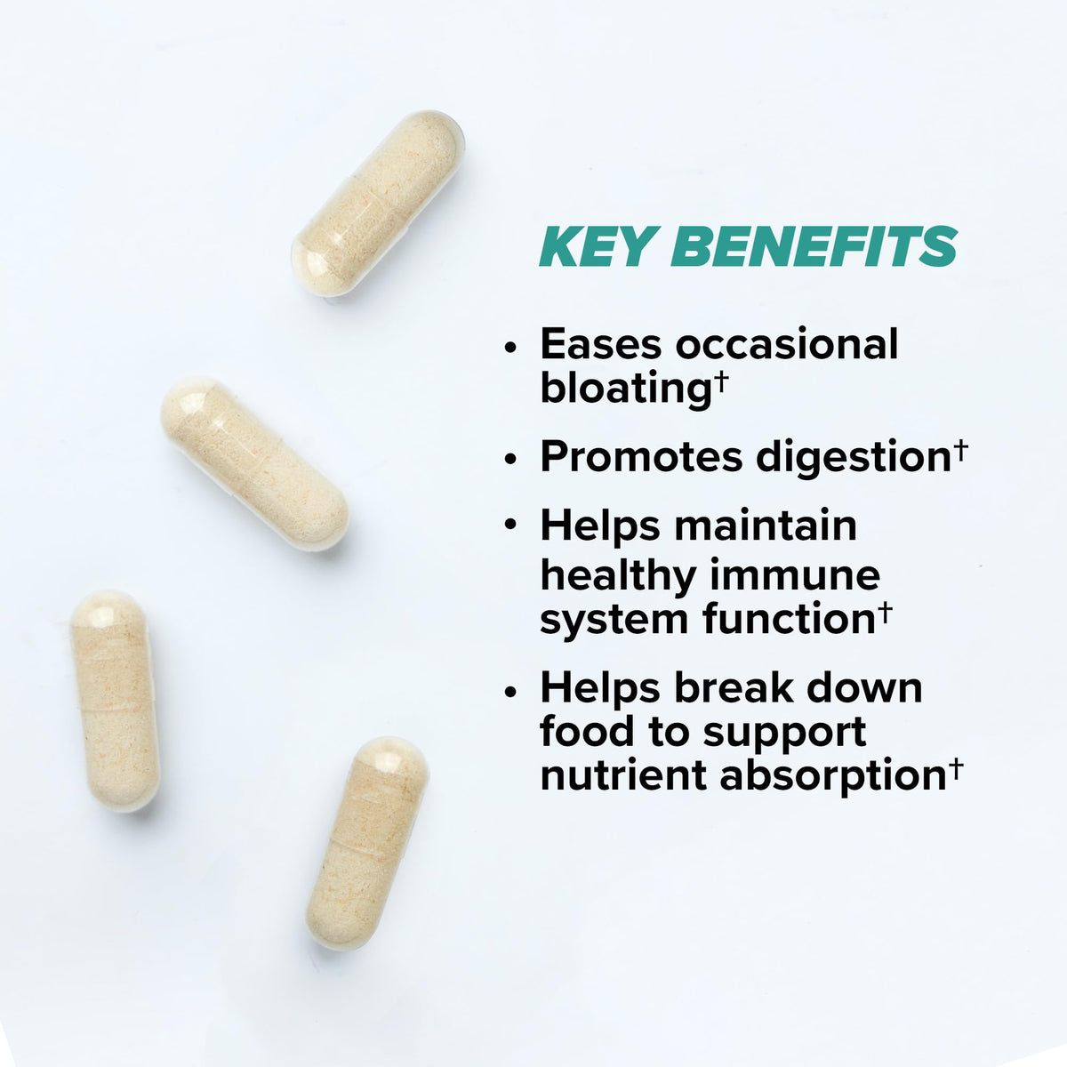 ONNIT Total Gut Health Daily Digestive Support, IGEN Non-GMO Tested Digestion Supplement for Women and Men with 7 Strains of Probiotics, Prebiotics, - PrimeBioHealth - canada supplements