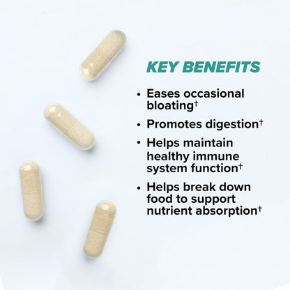 ONNIT Total Gut Health Daily Digestive Support, IGEN Non-GMO Tested Digestion Supplement for Women and Men with 7 Strains of Probiotics, Prebiotics, - PrimeBioHealth - canada supplements