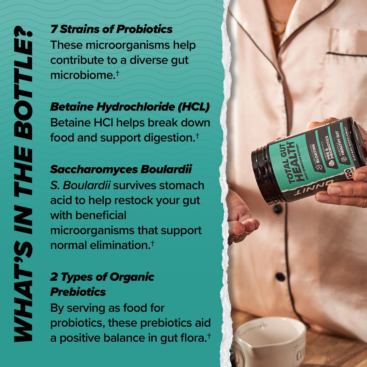 ONNIT Total Gut Health Daily Digestive Support, IGEN Non-GMO Tested Digestion Supplement for Women and Men with 7 Strains of Probiotics, Prebiotics, - PrimeBioHealth - canada supplements