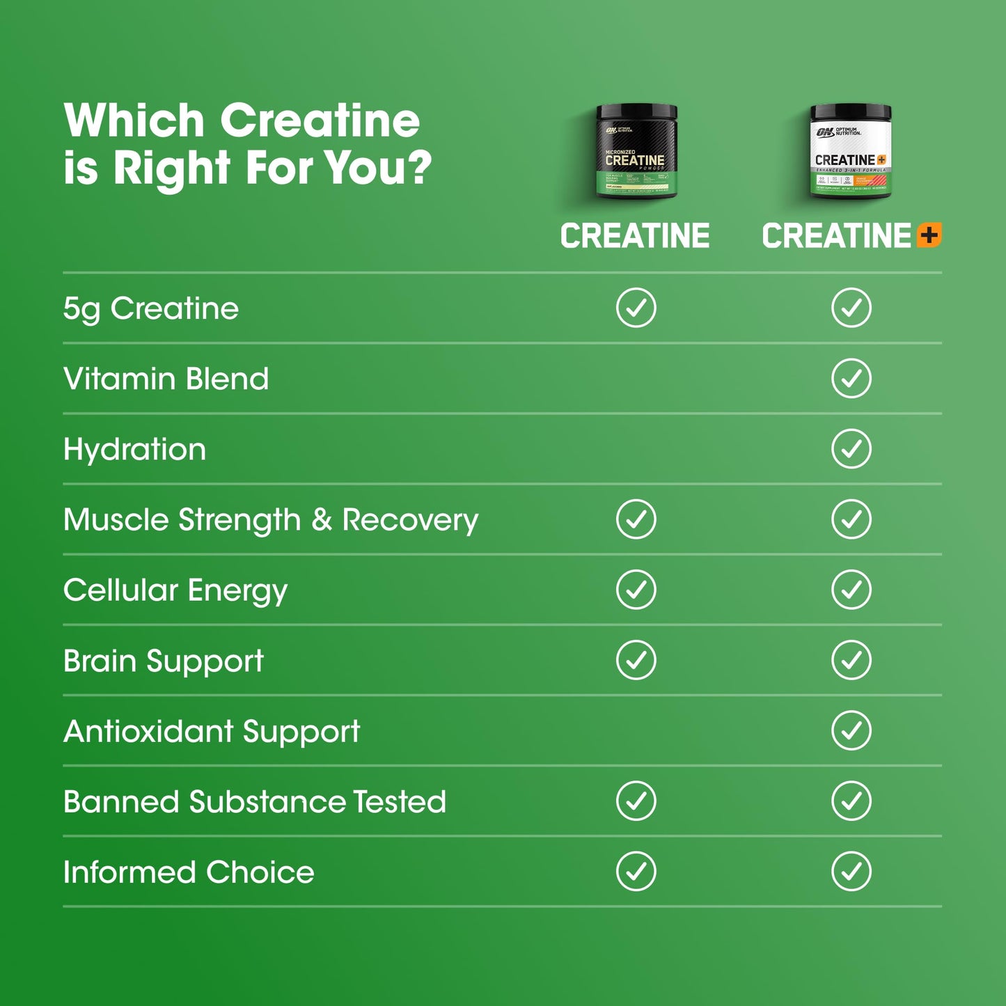 Optimum Nutrition Creatine Monohydrate Plus Powder, Orange Passionfruit Flavored Creatine Performance Blend With Electrolytes for Hydration, Added Vitamins, 40 Servings, 360 Grams (Packaging May Vary) - PrimeBioHealth - canada supplements