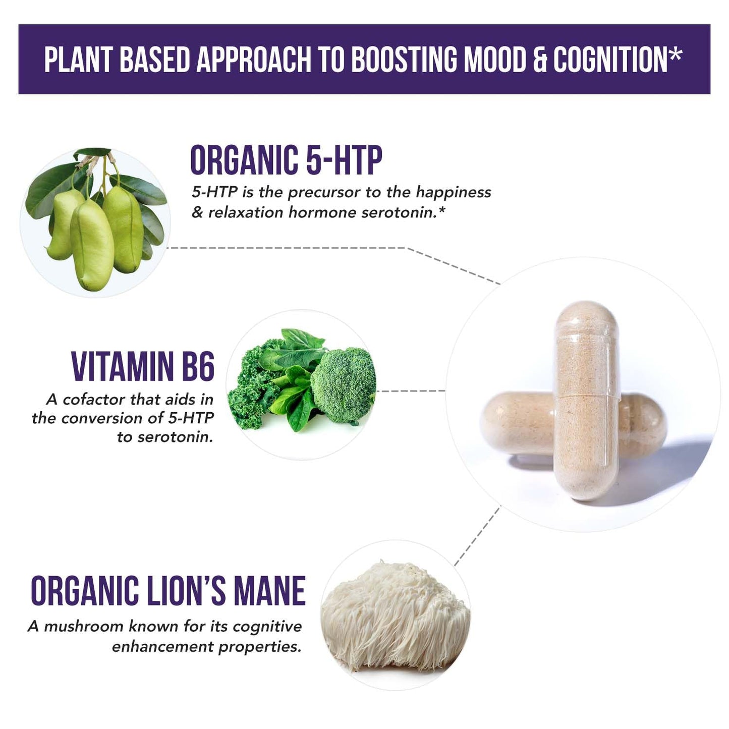 Organic 5-HTP - 200 mg | 99% 5HTP Concentration, Plus Cofactor Vitamin B6 & Lion’s Mane | Water Extracted from Organic Griffonia Seeds | Supports Mood, Cognition & Sleep (60 Capsules | 30 Servings) - PrimeBioHealth - canada supplements