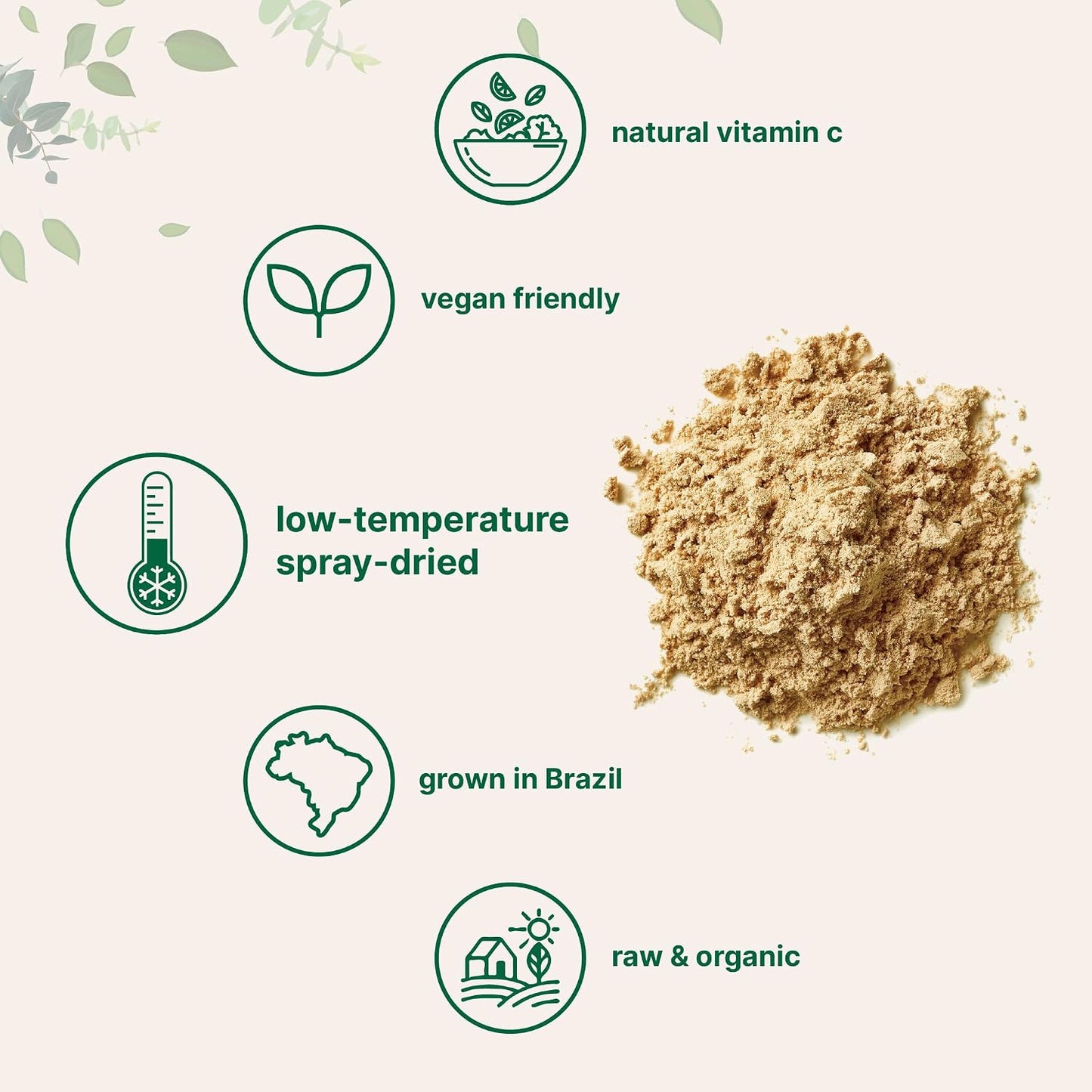Organic Acerola Powder, 8oz | Natural Organic Vitamin C Superfood | No Sugar & Additives | Great Flavor for Drinks, Smoothie, & Beverages | Non-GMO & Vegan Friendly, Brazil Origin - PrimeBioHealth - canada supplements